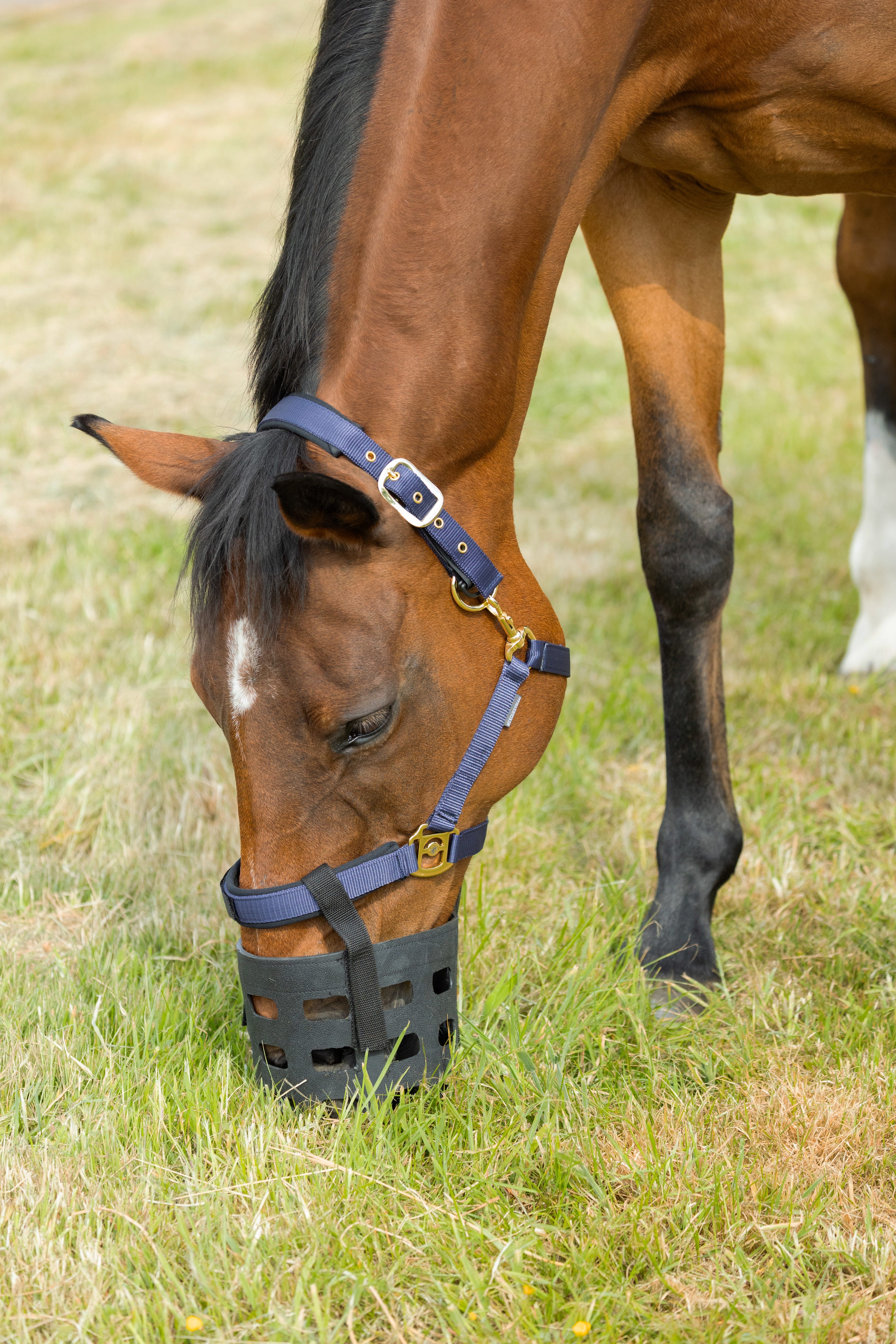 Hy Equestrian Rubber Muzzle image 4